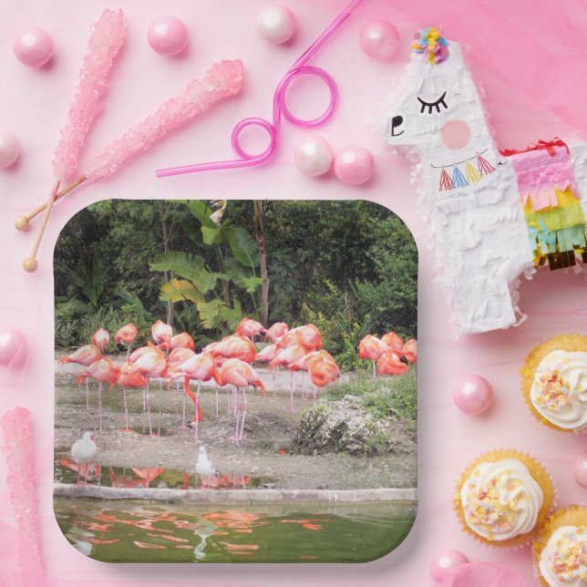 Flock von Flamingoes Paper-Tellern Pappteller (Party)