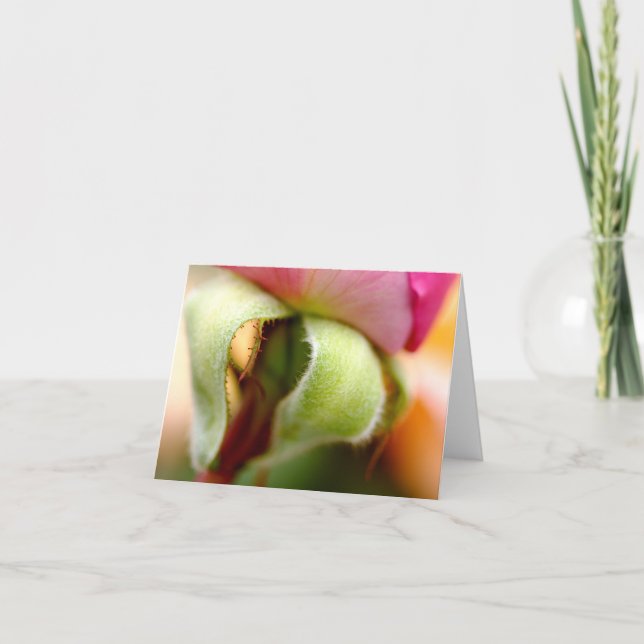 Flockig Karte (Vorderseite)