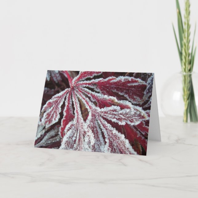 Flockiges eisiges Blatt Karte (Vorderseite)