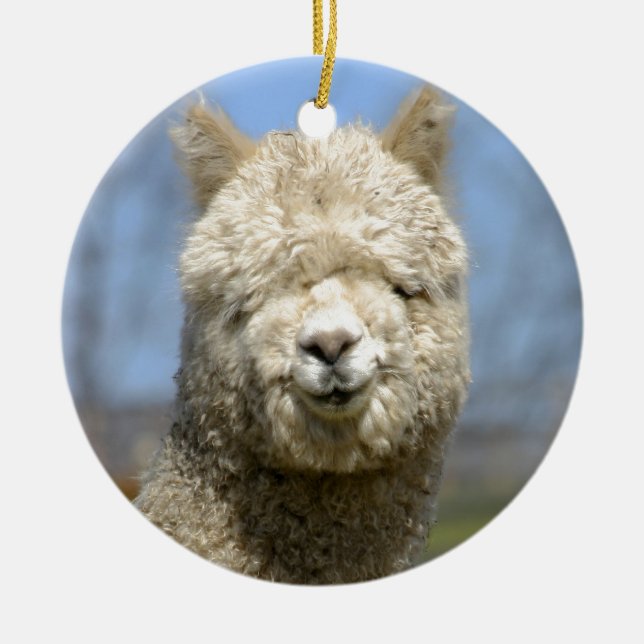 Flockiges weißes Alpaka-Gesicht Keramikornament (Vorne)