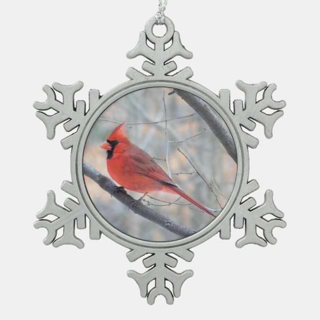 Flocon De Neige Rouge Cardinal Profil Ornement d'eau (Devant)