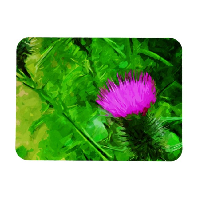 Flodmans Thistle Lila Wildblume Abstrakt Magnet (Horizontal)