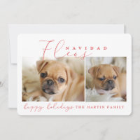FLÖHE NAVIDAD