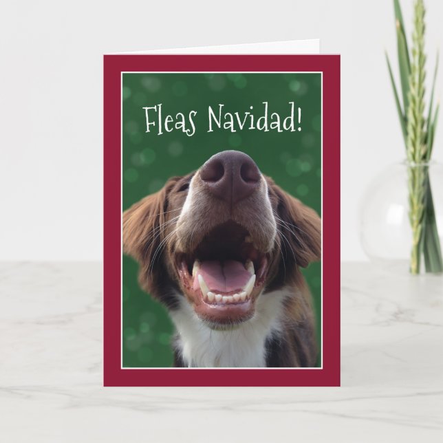 Flöhe Navidad! Humorvoller Hund am Weihnachten (Vorderseite)