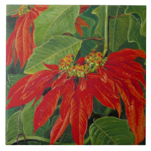 Flor de Pascua oder Osterfeier, berühmte Blume, Fliese
