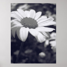 Flor Poster