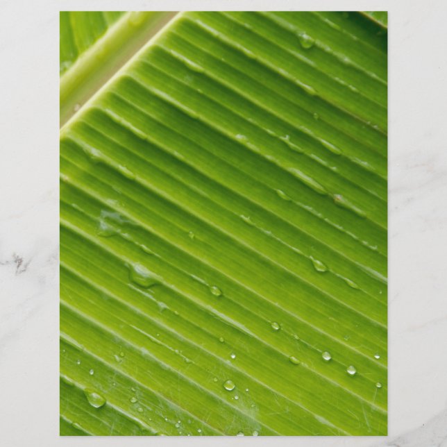 Flora Dominica 1 (Vorderseite)