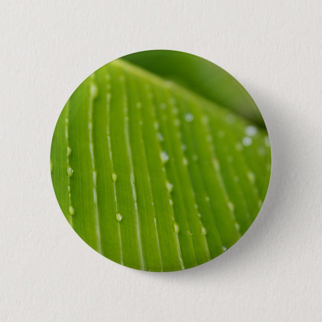 Flora Dominica 2 Button (Vorderseite)