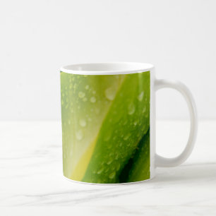 Flora Dominica 3 Kaffeetasse