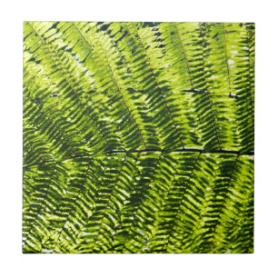 Flora Dominica 5 Fliese