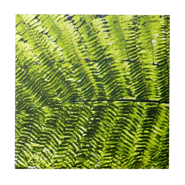 Flora Dominica 5 Fliese (Vorderseite)