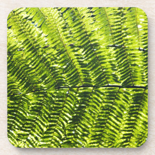 Flora Dominica 5 Getränkeuntersetzer