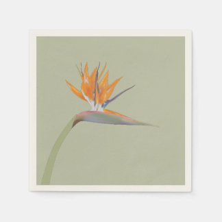 Flora I: Paradies-Vogel - Papier Napkin Serviette