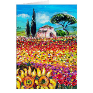 FLORA IN DER TUSKANIE/ Felder, Pfeffer und Sonnenb