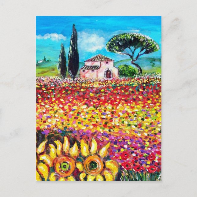 FLORA IN DER TUSKANIE/ Felder, Pfeffer und Sonnenb Postkarte (Vorderseite)