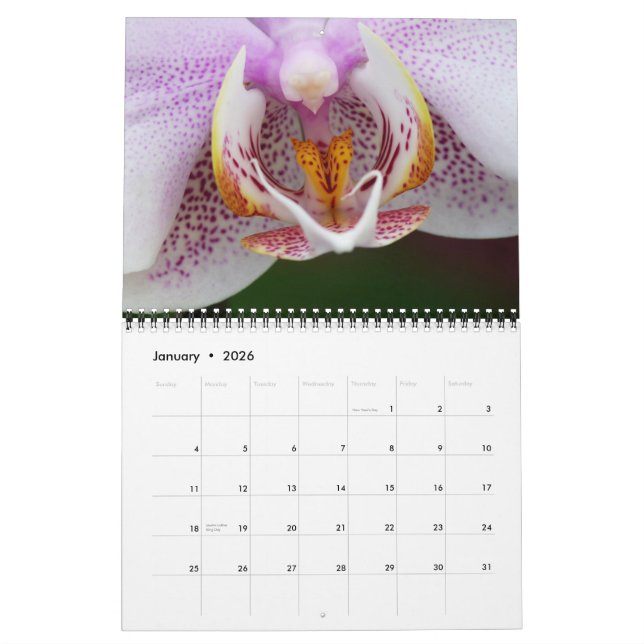 FLORA-KALENDER 2013 DURCH MAYES %PIPE% FOTOS KALENDER (Jan 2026)