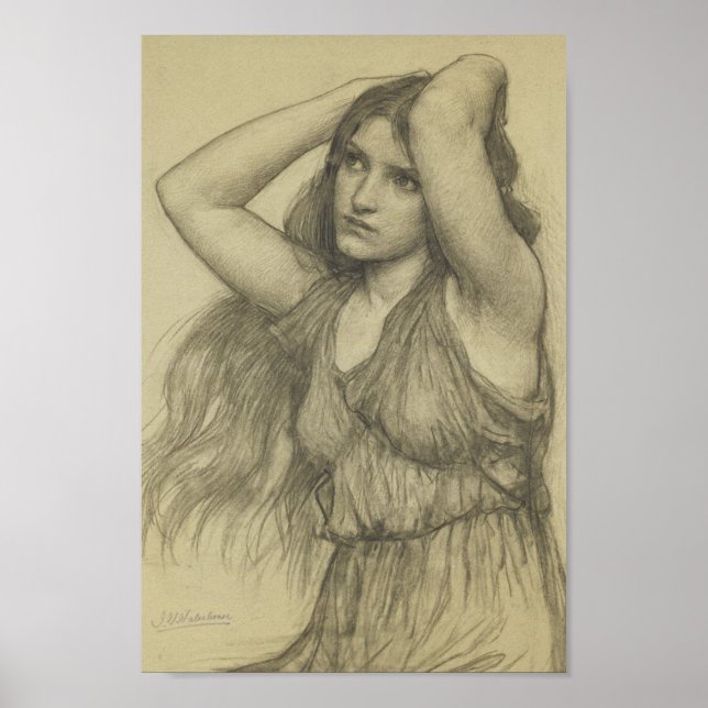 Flora mit langer Haare Poster (Vorne)