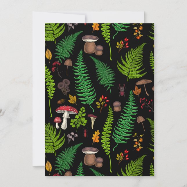 Flora und Fauna im Forstland (Vorderseite)