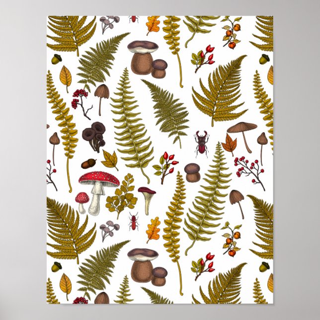 Flora und Fauna im Waldgebiet 2 Poster (Vorne)