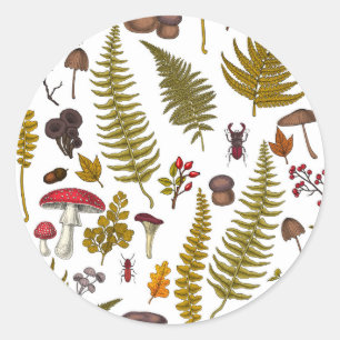 Flora und Fauna im Waldgebiet 2 Runder Aufkleber