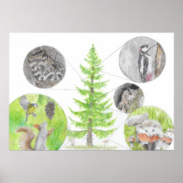 Flora und Fauna Poster