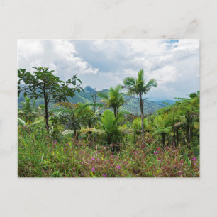 Flora und Landschaft der Luquillo-Berge nach Karte