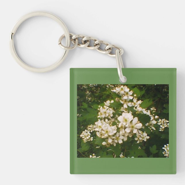 Floraison blanche (Devant)