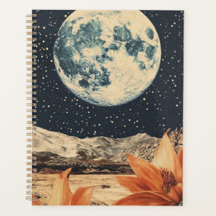 Floraison lunaire sur les pics sablonneux