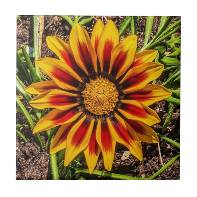 Floral 1 Tile Fliese (Vorderseite)