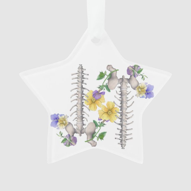 Floral Anatomy - Vertebrae, Hip Bone Ornament (Vorderseite)