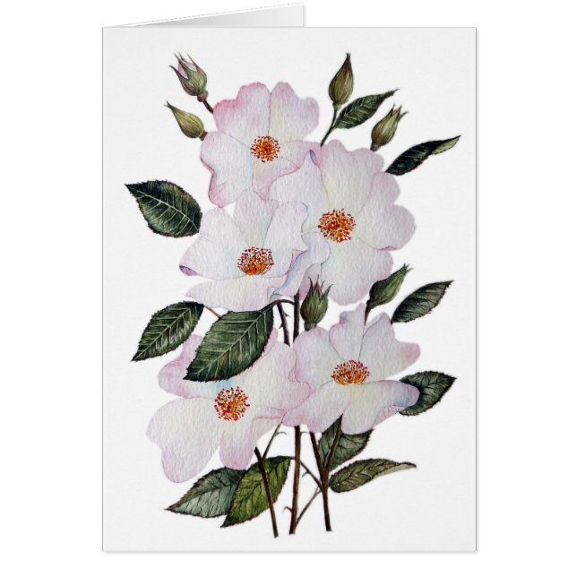 Floral Art de Roses (Devant)