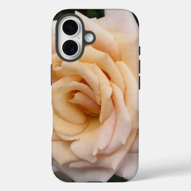 Floral Blackberry fett mit Romantischer Rose iPhone 16 Hülle (Rückseite)