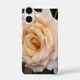 Floral Blackberry fett mit Romantischer Rose iPhone 16 Hülle