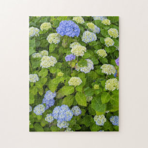 Floral Blue Hydrangea Nature Foto