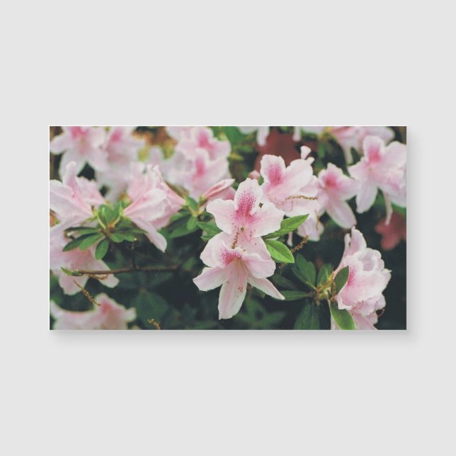 Floral Business Card Magnetkarte (Vorderseite)