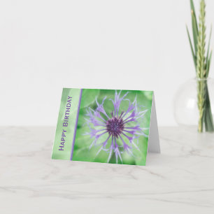 Floral - Cornflower Karte