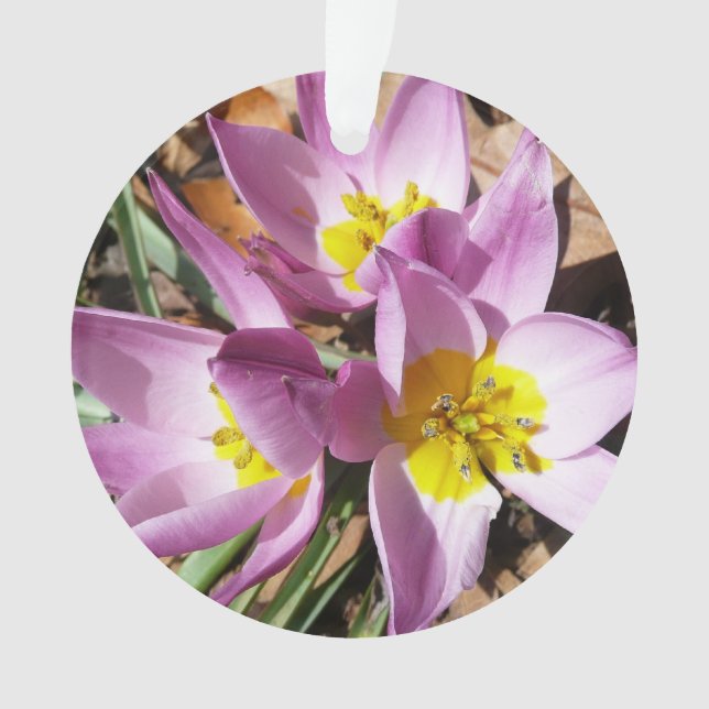 Floral de Pink (devant)