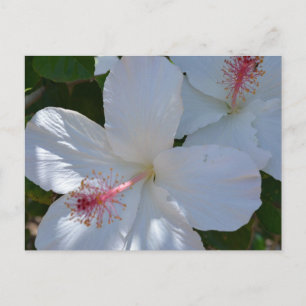 Floral Duft Postkarte