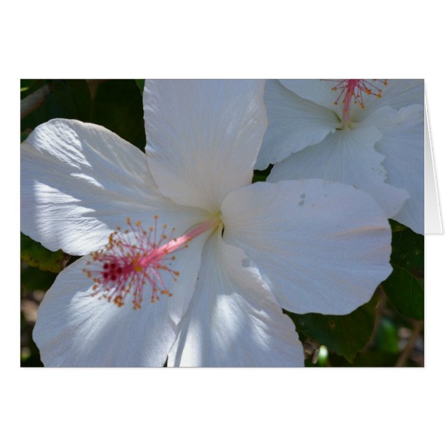 Floral-Duftkarte (Vorderseite (Horizontal))