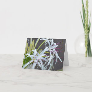 Floral-Duftkarte Feiertagskarte