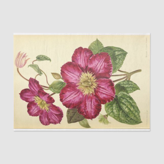 Floral Ephemera Decoupage Pink Seidenpapier (Vorderseite)