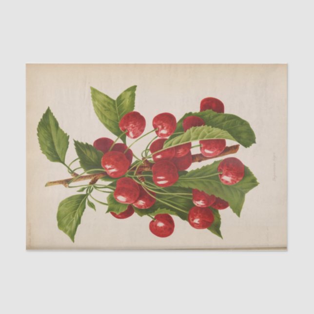 Floral Ephemera Decoupage Red Cherries Seidenpapier (Vorderseite)