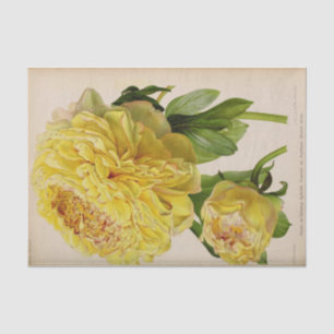 Floral Ephemere Decoupage Gelbe Rosen Seidenpapier
