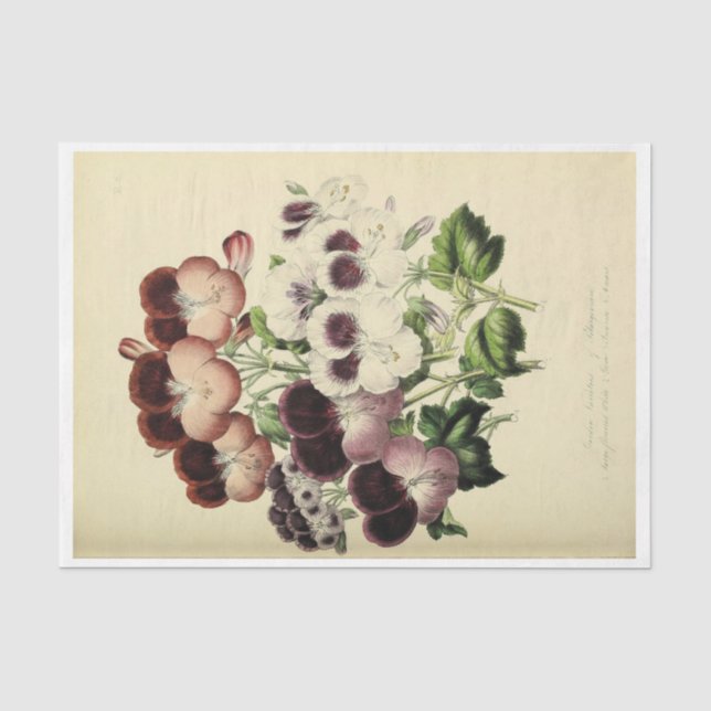 Floral Ephemere Decoupage Lila weiße Stiefmütterch Seidenpapier (Vorderseite)
