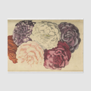 Floral Ephemere Decoupage Lila Weißes Rosa Seidenpapier