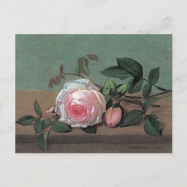 Floral Fine Art Pink Rosa Postkarte (Vorderseite)