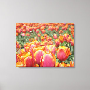 Floral Fine Art Prints Tulips Blume Leinwand