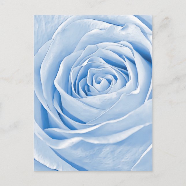 Floral Foto Dainty Light Blue Rose Postkarte (Vorderseite)