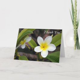 Floral Foto Weiß Gelb Grün Danke Karte