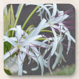 Floral Fragrance Cork Untersetzer
